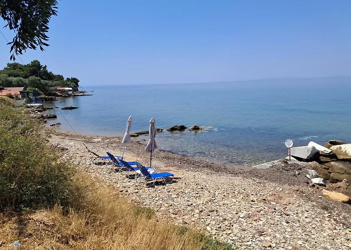 Erodios 3* Σκάλα Καλλιράχης