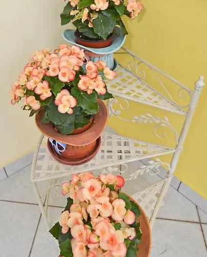 Erodios 3* Σκάλα Καλλιράχης